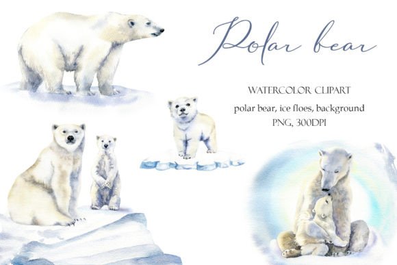 Download Watercolor Polar Bear Clipart Baby Png - Premium Resources